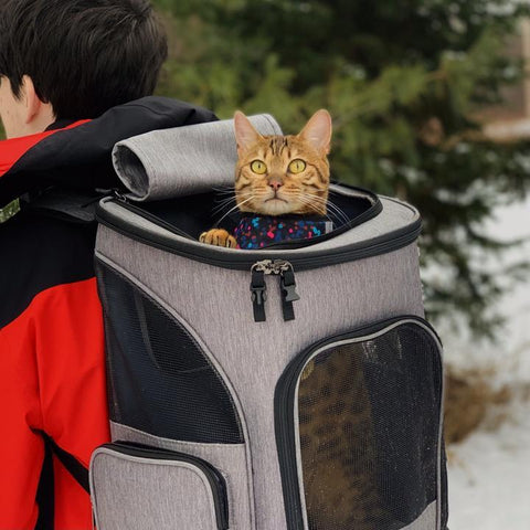Cat Backpack - For Larger pets