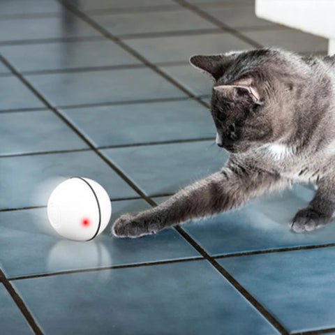 Rolling Ball - Smart Interactive Pet Ball