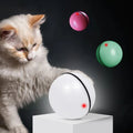 Rolling Ball - Smart Interactive Pet Ball